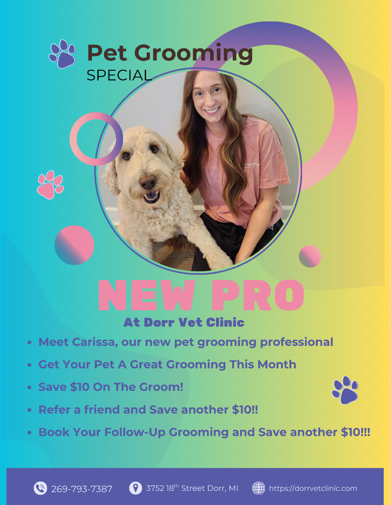 Winter Grooming Specials